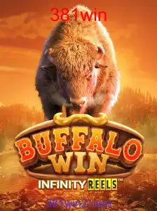 BuffaloWin